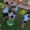  - Centro de Educao Infantil Passionista Joo Paulo II