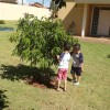  - Centro de Educao Infantil Passionista Joo Paulo II